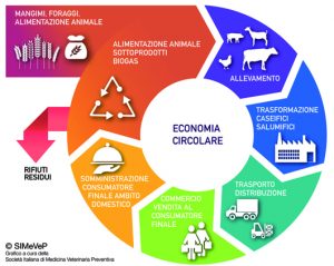 economia circolare