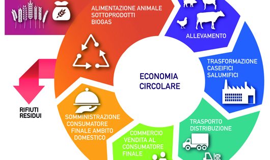 Spreco alimentare