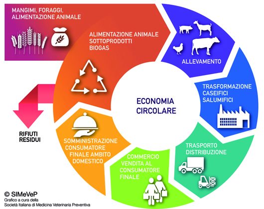 Spreco alimentare