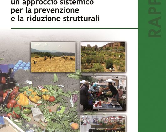 sintesi_rapporto_ispra_spreco