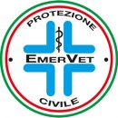 logo emervet