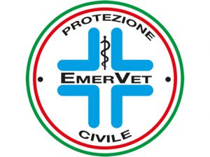 logo emervet