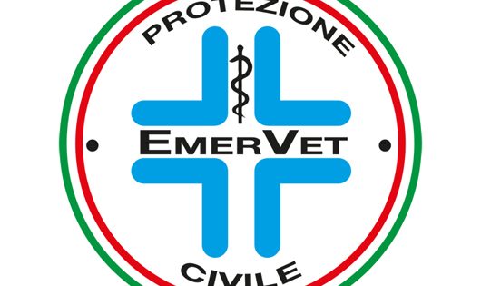 logo emervet
