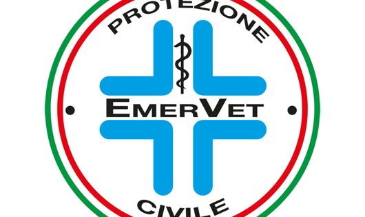 logo emervet