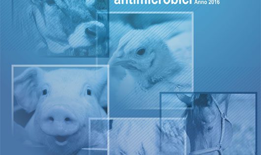 rapporo vendite medicinali veterinari 2016