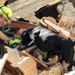 Unità Cinofile di Soccorso