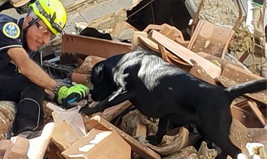 Unità Cinofile di Soccorso