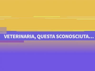 veterinari di sanità pubblica
