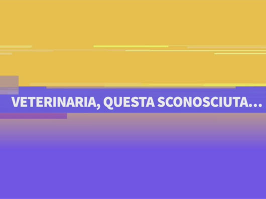 veterinari di sanità pubblica
