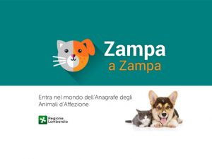 zampa a zampa