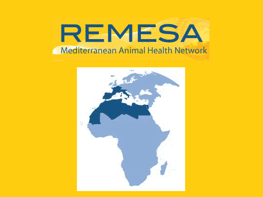 Remesa