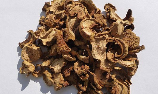 Funghi secchi