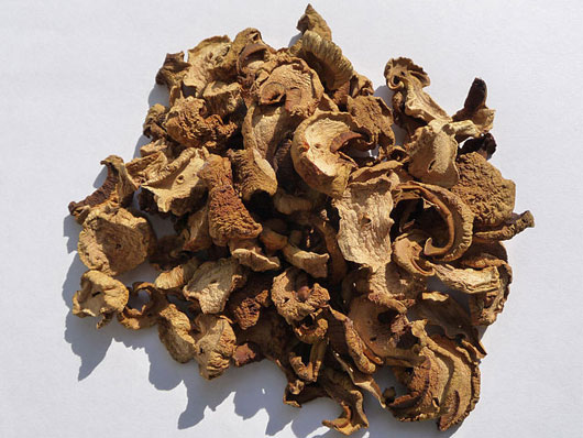 Funghi secchi