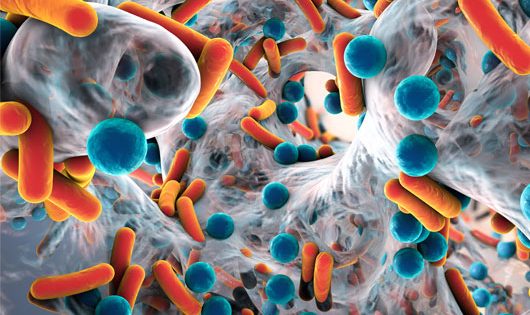 antibioticoresistenza