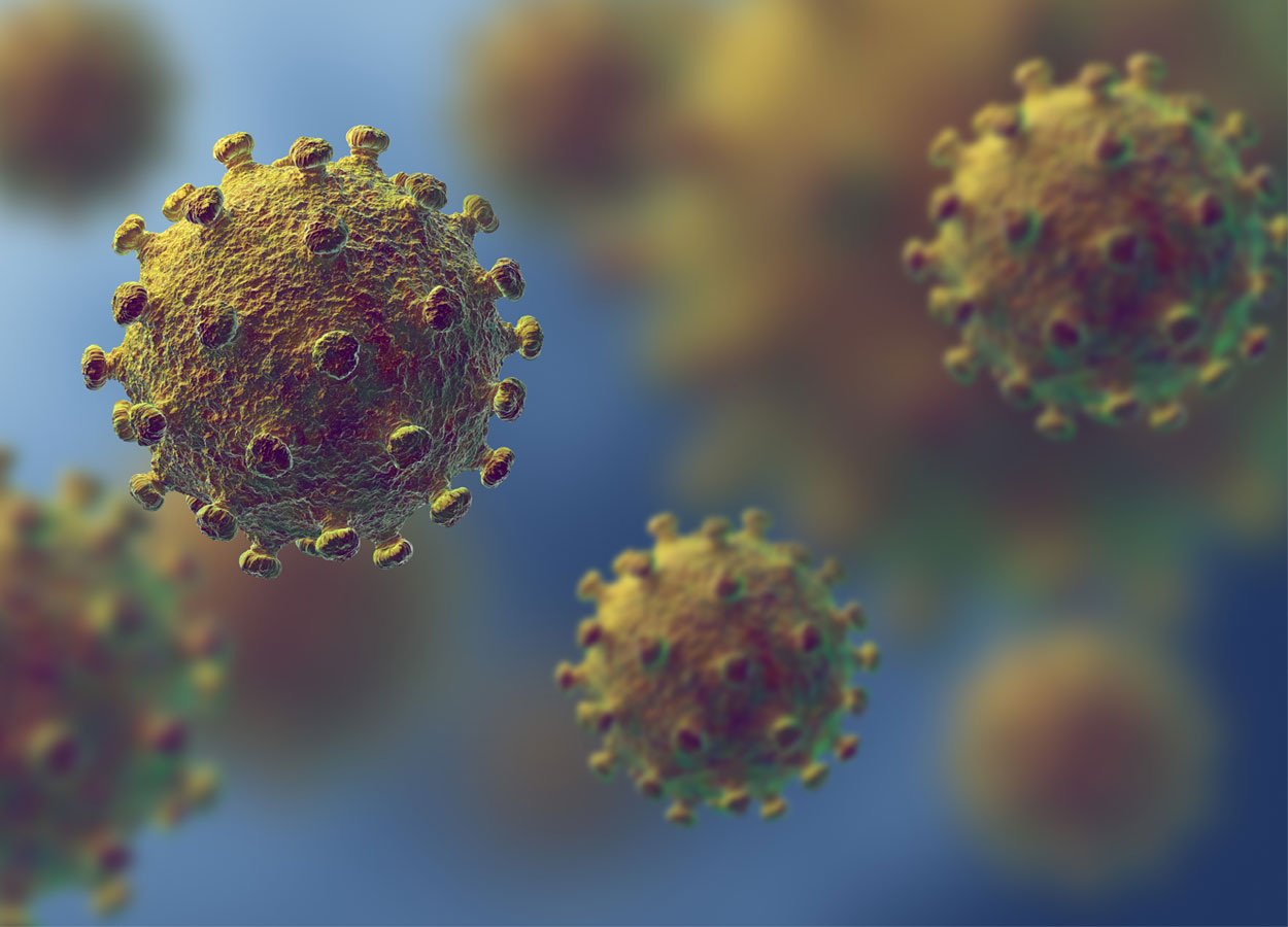 SIMeVeP, Emergenza Coronavirus: indispensabile una potente azione di prevenzione ed epidemiosorveglianza “One Health”