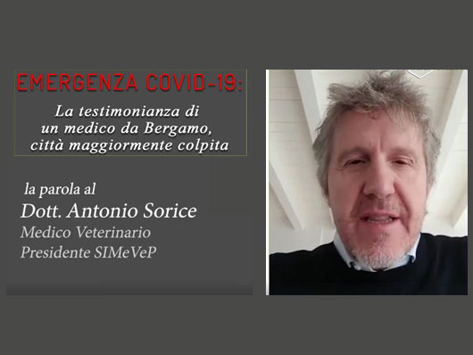 Coronavirus a Bergamo: parla Antonio Sorice