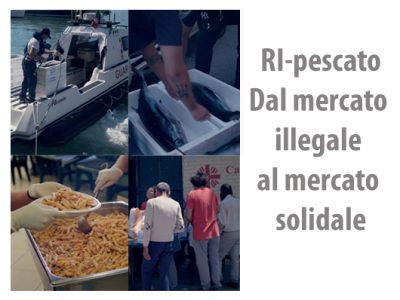 RI-pescato Dal mercato illegale al mercato solidale